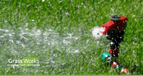 6 Signs You Are Overwatering Your Grasslawn And How To Fixprevent It
