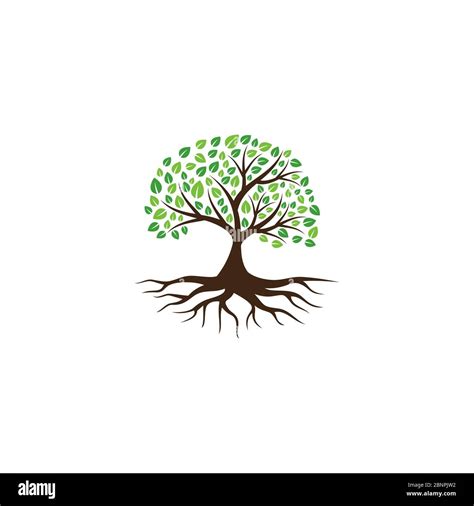 Creative Tree Logo And Icon Vector Template Stock Vector Image And Art