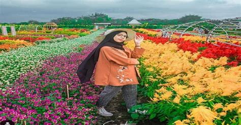 Indahnya Resoinangun Garden Taman Instagramable Bunga Warna Warni Di