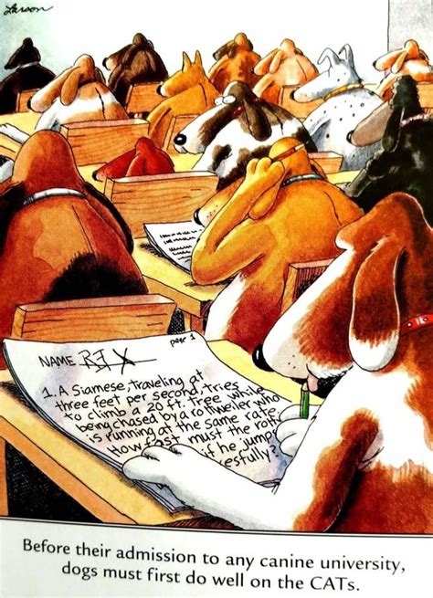 Canine School For The Gifted Gary Larson Cartoons Far Side Cartoons