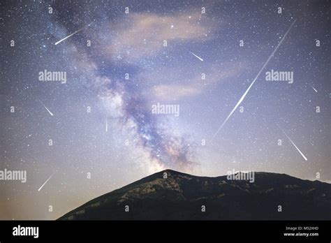 Pine Trees Silhouette Milky Way Stock Photo Alamy