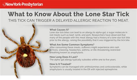 Lone Star Ticks Lyme Disease Pregnant Health Tips