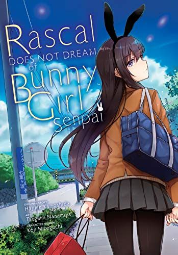 Rascal Does Not Dream Of Bunny Girl Senpai Vol 1 Ebook