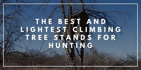 6 Best Ultralight Climbing Tree Stands For Hunting With Reviews