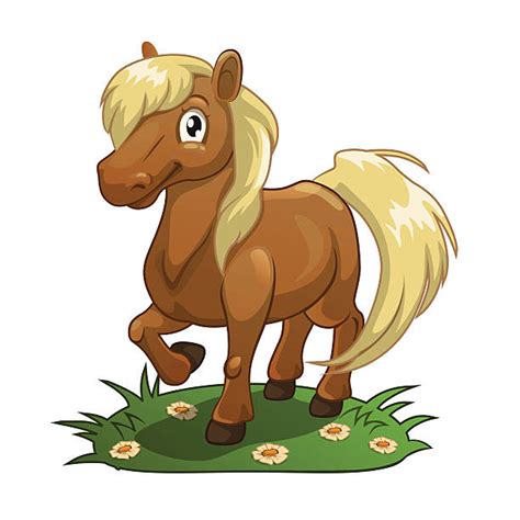 Best Miniature Pony Illustrations Royalty Free Vector Graphics And Clip
