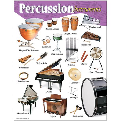 Percussion Instruments Learning Chart T 38102 Trend Enterprises Inc