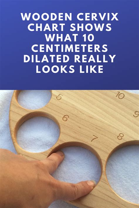 Once active labor begins, contractions become closer together and the cervix dilates to 10 centimeters, giving way to the baby. Wooden Cervix Chart Shows What 10 Centimeters Dilated ...