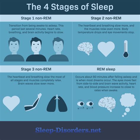 what are the stages of sleep