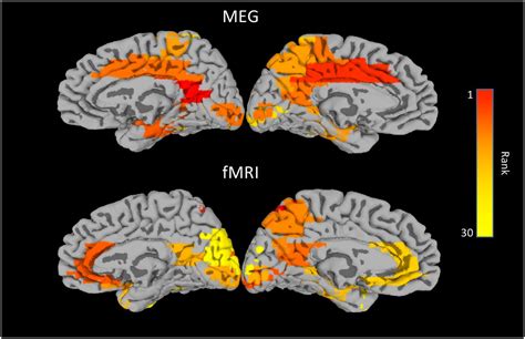 Multimodal Mapping Of The Brains Functional Connectivity And The Adult