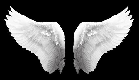 angel wings pictures free download angel wings angel clipart wings clipart aura png