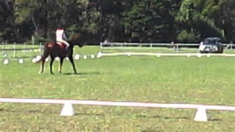 Burp Ode Dressage Test Prelim 1c Youtube