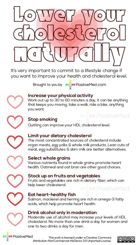 Are you new to meal prep? Natural Tips to Significantly Lower Your High Cholesterol ...