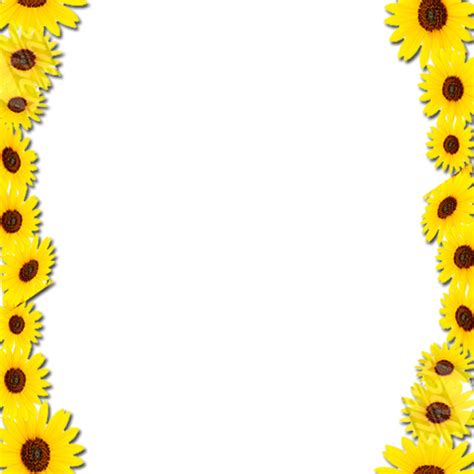 Sunflower Border Frame Png 41034 Free Icons And Png