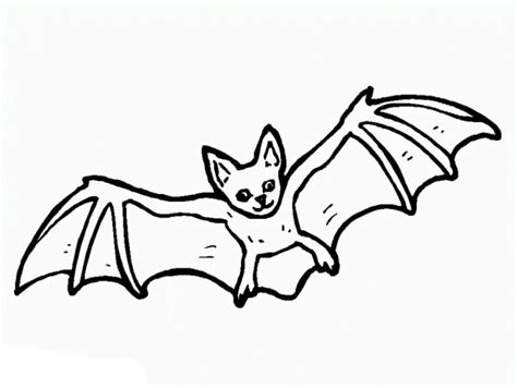 Malvorlagen zum drucken ausmalbild fledermaus kostenlos 2