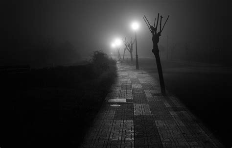 Depression wallpaper with quotes for man. Wallpaper road, light, night, fog, posts, depression, the ...