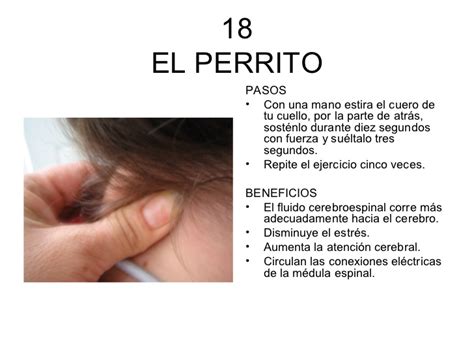 Hace unos años empezamos a ser conscientes de la importancia de ejercitar nuestro cuerpo. FORMACIÓN CÍVICA Y ÉTICA II: GIMNASIA CEREBRAL