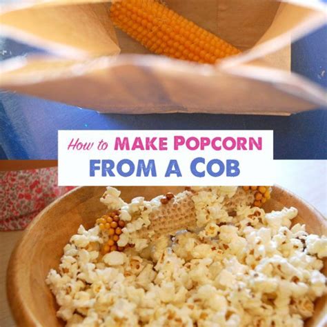 Popcorn Cob How To Pop Popcorn From A Cob How To Make