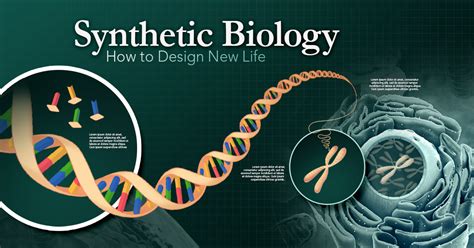 Explainer How Synthetic Biology Is Redesigning Life