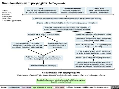 Granulomatosis With Polyangiitis Pathogenesis Calgary Guide
