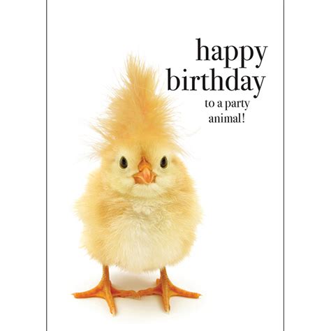 Cute Happy Birthday Animal Images Adorable Animal Illustrations By