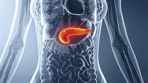 Cancer, the fourth sign of the zodiac, is all about home. Pancreatic cancer good news: Two breakthrough studies in ...