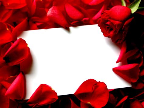 Rose Frames Wallpapers High Quality Download Free
