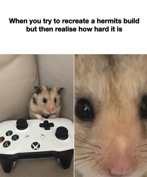 Gaming Hamster This Is Me Every Time I Play Minecraft R