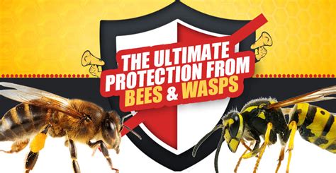Difference Between Bees And Wasps Protech Pest Control
