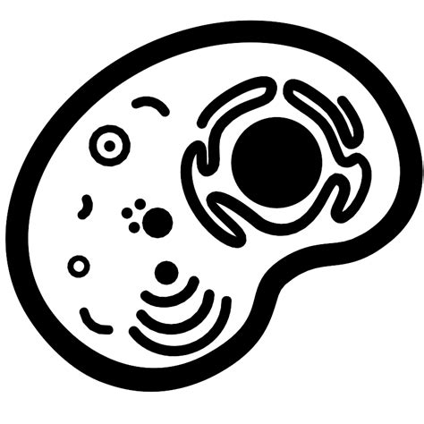 Cell Biology Dna Vector Svg Icon Svg Repo