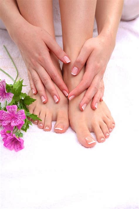 Closeup Photo Of A Beautiful Female Feet With Pedicure Stock Image Image Of Flower Nail 81739363