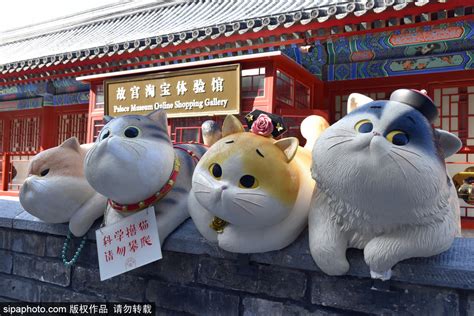 故宫神武门巨型“御猫”成为新的旅游打卡圣地