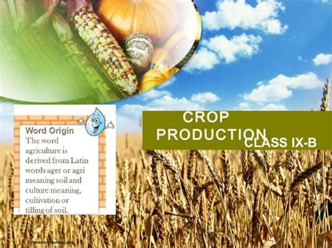 Cbse Class 9 Crop Production By Drhp
