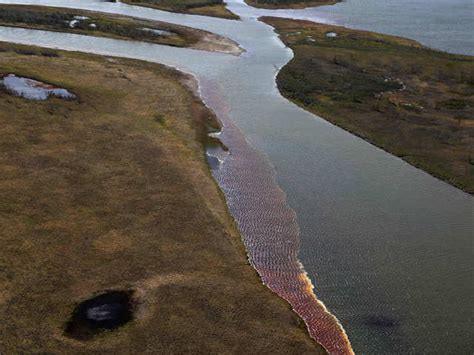 a state of emergency russia finds permafrost melting behind arctic fuel spill the economic times