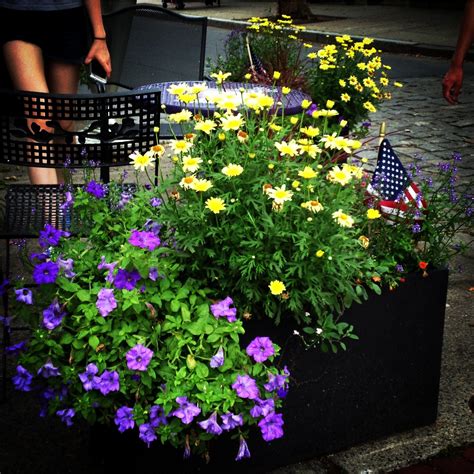Maybe you would like to learn more about one of these? Sprouts: Summer Flowers in Salem, Massachusetts 2017