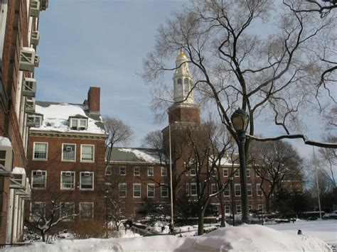 That's why 700,000 cuny brooklyn college requires that you either take the sat or act. Brooklyn College — Wikipédia