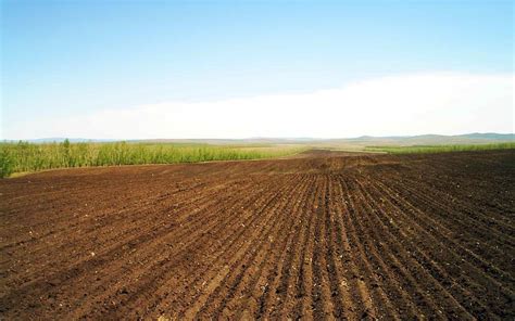 New Law Allows Foreign Agricultural Businesses To Lease Kazakh Land For
