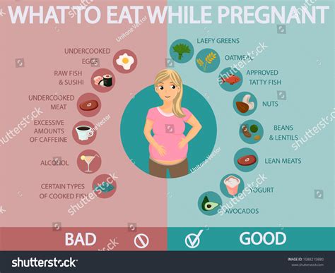 Pregnant Woman Diet Infographic Food Guide Stock Vector Royalty Free