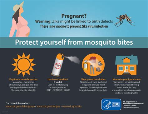 7 Things Pregnant Women Should Know About Zika Virusinside Childrens Blog