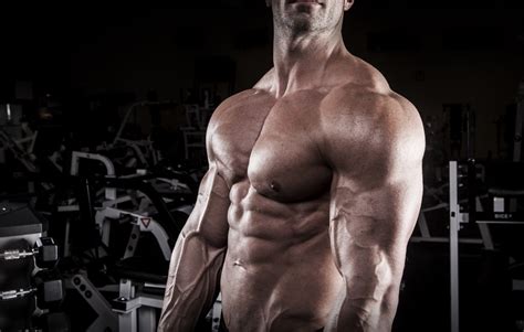 Build Muscle Mass Health Articles