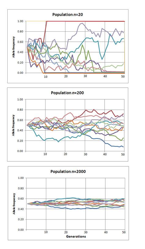 2 Effect Of Population Size On Genetic Drift Ten Simulations Each Of