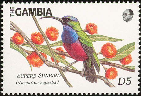 Superb Sunbird Stamps Mainly Images Gallery Format Bird Theme Bird