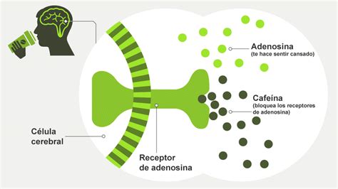 Simple Science: How to Make a Volcano with Kids