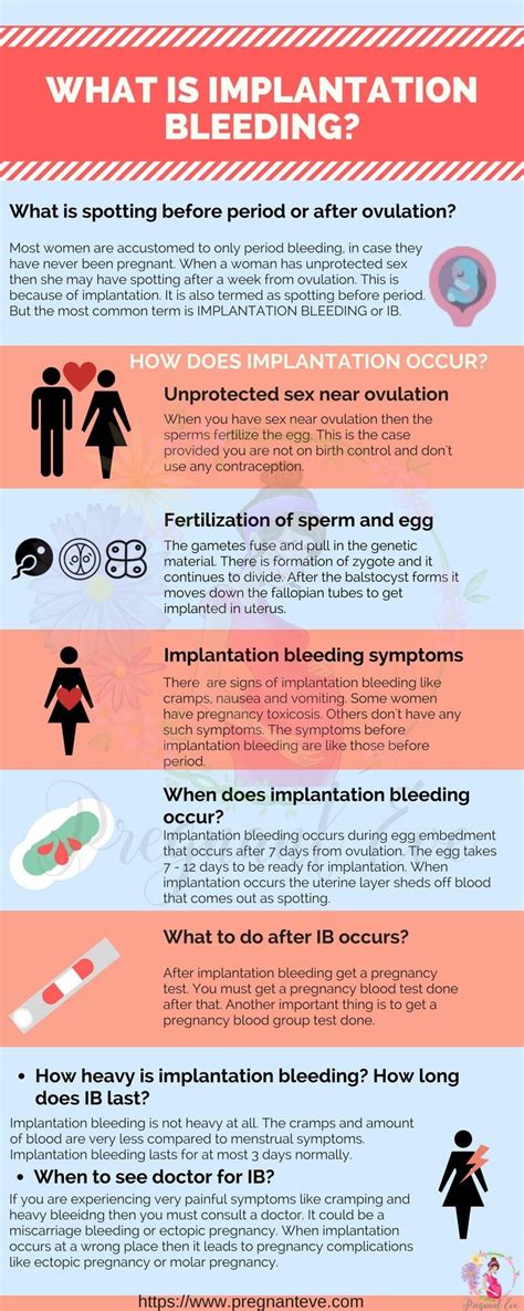 Implantation Bleeding No Other Pregnancy Symptoms Pregnancy Sympthom