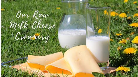 Our Raw Milk Cheese Creamery Progress Peaceful Heart Farm
