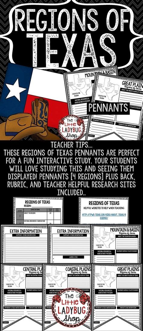 Texas Regions Activity Pennant Teach Go With These Pennants The Texas