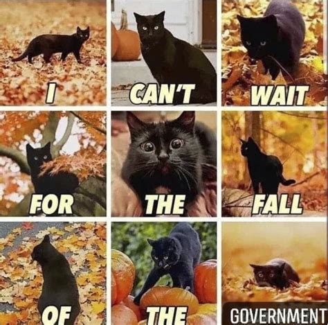 These Memes Are For All Of You Who Are Waiting For Fall Is It Fall