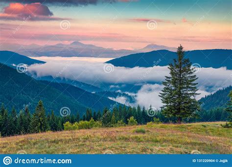 Colorful Summer Sunrise In The Carpathian Mountains Stock Photo