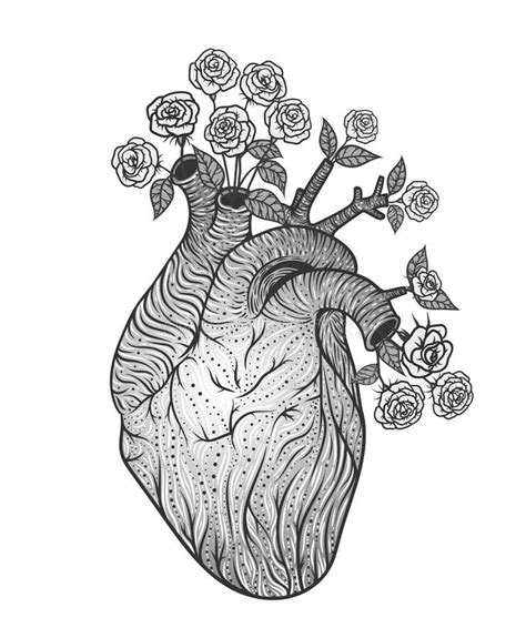 Human Heart With Flowers Vector Illustration Stock Vector