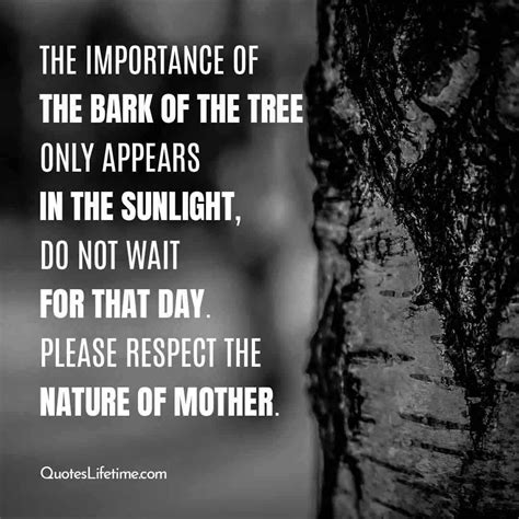 20 Best Mother Nature Quotes Inspirational Nature Sayings Mother