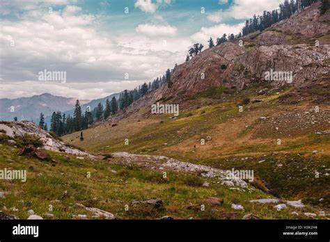 Scenic View Mineral King Sequoia National Park California Usa Stock